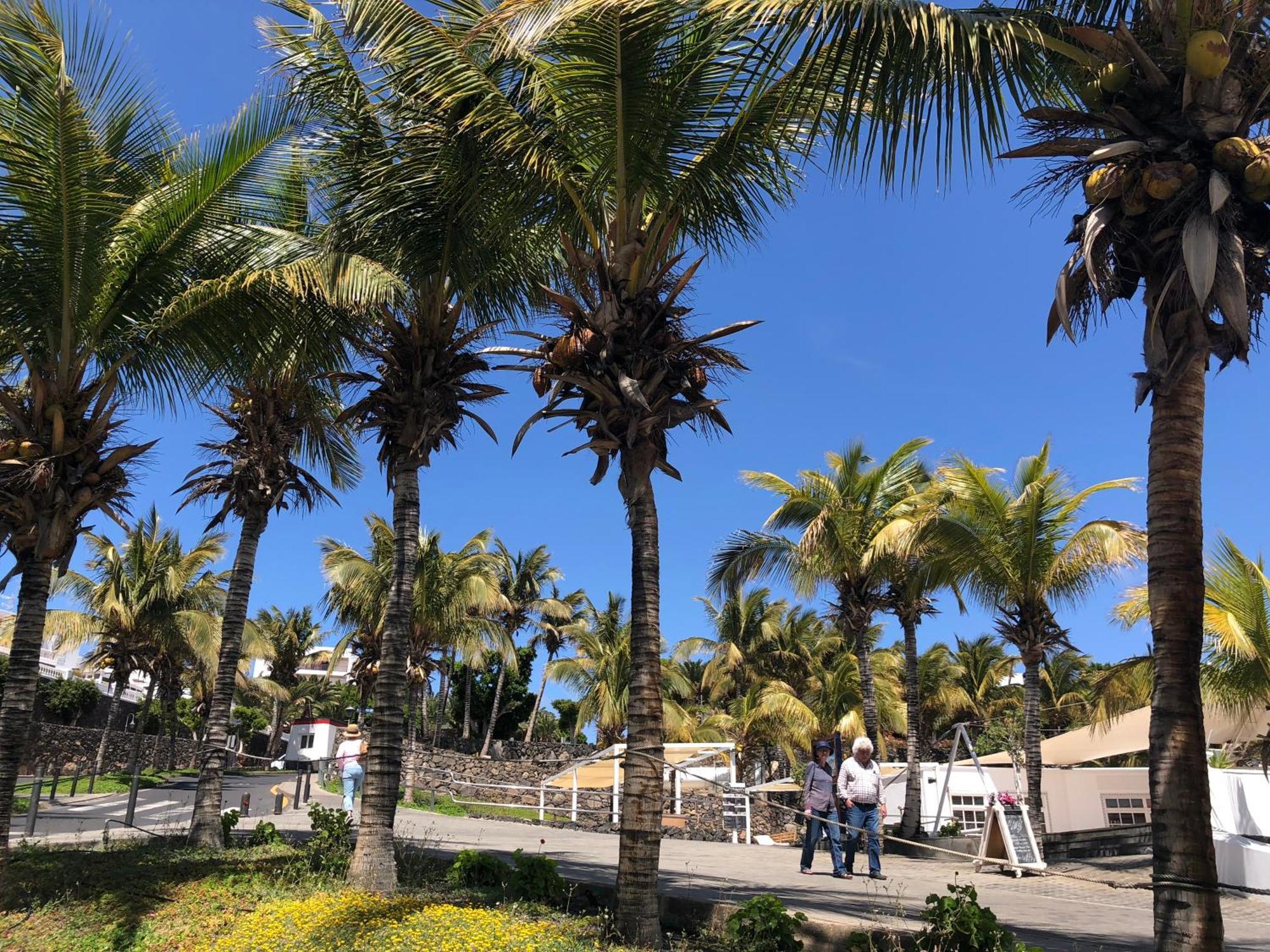 Casa Margarita - Shared Pool - Close To Seafront Promenade Punta Mujeres 외부 사진
